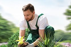 Озеленение и городское благоустройство, создание комфортной среды  в Челябинске