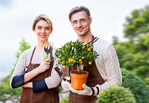 Проект «под ключ» где можно заказать по низкой цене  в Челябинске
