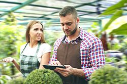 Дендроплан - верное планирование территории и решения этой задачи на уровне  в Челябинске