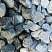 Kamenclub.ru: Щебень галтованный зеленый (змеевик) фр. 50-100 мм.  купить в Челябинске галтовка мраморная зеленый, салатовый мрамор 12 500 руб/т   фото КАМЕНЬ КЛУБ