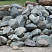 Kamenclub.ru: Гранит скальник (серо-зеленый) фр. 100-500 мм.  купить в Челябинске гранит зеленый, серый, салатовый крупный ландшафтный валун 6 000 руб/т   фото КАМЕНЬ КЛУБ