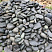 Kamenclub.ru: Темно-серый валунчик фр.100-300 мм.  купить в Челябинске крупный природный камень серый, темно-серый, светло-серый речная галька большого размера окатанная 4500 руб/т   фото КАМЕНЬ КЛУБ