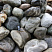 Kamenclub.ru: Речной валун Кабанчик фр.300-500 мм.  купить в Челябинске крупный природный камень галька серый, темно-серый речной валун галечник масштабный 7000 руб/т   фото КАМЕНЬ КЛУБ