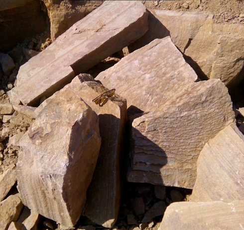 Kamenclub.ru: Песчаник пластушка желтый с рисунком (7-15 см)  купить в Челябинске плитняк - пластушка - бут желтый песчаник 10200 руб/м3   фото КАМЕНЬ КЛУБ