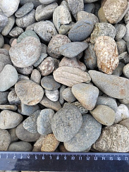 Kamenclub.ru: Галька речная окат (пестрая) фр. 20-40 мм. купить  в Челябинске галька речная пестрая, серая, серые оттенки галька речная окатанная округлая 5000 руб/т   фото КАМЕНЬ КЛУБ