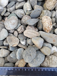 Kamenclub.ru: Галька речная окат (пестрая) фр. 20-40 мм. купить  в Челябинске галька речная пестрая, серая, серые оттенки галька речная окатанная округлая 5000 руб/т   фото КАМЕНЬ КЛУБ