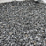 Kamenclub.ru: Щебень крошка черный (мрамор) фр. 10-20 мм.  купить в Челябинске мрамор черный с белыми прожилками, черный, белый каменная ландшафтная декоративная крошка щебня 11000 руб/т   фото КАМЕНЬ КЛУБ