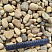 Kamenclub.ru: Галька речная окат рыжая фр. 20-40 мм. купить  в Челябинске галька речная окатанная рыжая желтая серая округлая речная галька 5000 руб/т   фото КАМЕНЬ КЛУБ
