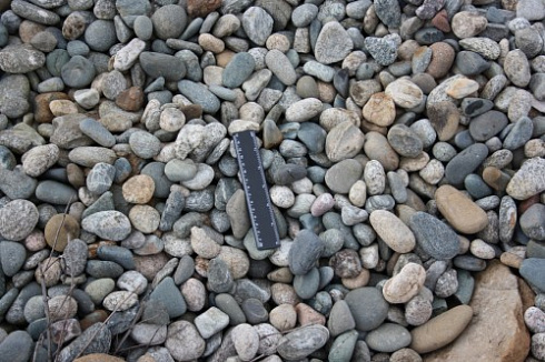 Kamenclub.ru: Галька речная окат (пестрая) фр. 20-40 мм. купить  в Челябинске галька речная пестрая, серая, серые оттенки галька речная окатанная округлая 5000 руб/т   фото КАМЕНЬ КЛУБ