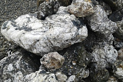 Kamenclub.ru: Черный гранит - кварцит фр. 100-500 мм.  купить в Челябинске мрамор гранит черный с белыми прожилками, серый, белый валун скальный колотый 7000 руб/т   фото КАМЕНЬ КЛУБ