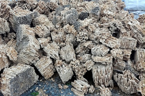 Kamenclub.ru: Крымский природный меотис фр. 100-500 мм.  купить в Челябинске меотис бежевый рыжий молочный желтый ракушечник 4 500 руб/т   фото КАМЕНЬ КЛУБ