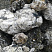 Kamenclub.ru: Черный гранит - кварцит фр. 100-500 мм.  купить в Челябинске мрамор гранит черный с белыми прожилками, серый, белый валун скальный колотый 7000 руб/т   фото КАМЕНЬ КЛУБ