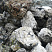 Kamenclub.ru: Черный гранит - кварцит фр. 100-500 мм.  купить в Челябинске мрамор гранит черный с белыми прожилками, серый, белый валун скальный колотый 7000 руб/т   фото КАМЕНЬ КЛУБ