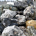 Kamenclub.ru: Черный гранит - кварцит фр. 500-1000 мм.  купить в Челябинске гранит кварцит черный серый белый скальный колотый валун 9750 руб/т   фото КАМЕНЬ КЛУБ