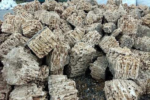 Kamenclub.ru: Крымский природный меотис фр. 100-500 мм.  купить в Челябинске меотис бежевый рыжий молочный желтый ракушечник 4 500 руб/т   фото КАМЕНЬ КЛУБ