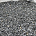 Kamenclub.ru: Щебень крошка черный (мрамор) фр. 20-40 мм.  купить в Челябинске мрамор черный с белыми прожилками мраморная каменная крошка 11000 руб/т   фото КАМЕНЬ КЛУБ