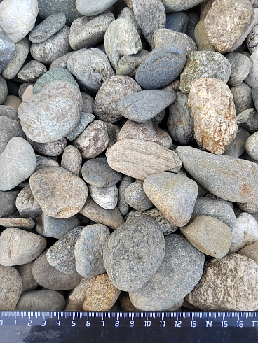 Kamenclub.ru: Галька речная окат (серая) фр.40-60 мм купить  в Челябинске галька речная серый бежевый рыжий коричневый округлый речной камень 5000 руб/т   фото КАМЕНЬ КЛУБ