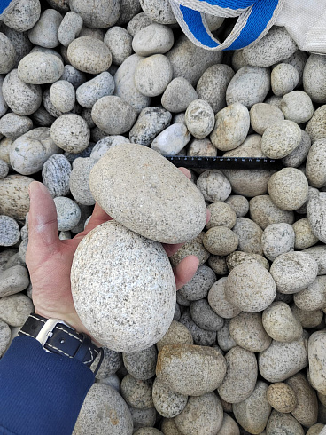 Kamenclub.ru: Галька речная окат (серо-белая) фр. 70-120 мм купить  в Челябинске галька галечник бело-серая, серо-белая, серая, белая речная природная галька  8000 руб/т   фото КАМЕНЬ КЛУБ