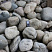 Kamenclub.ru: Темно-серый валунчик фр.100-300 мм.  купить в Челябинске крупный природный камень серый, темно-серый, светло-серый речная галька большого размера окатанная 4500 руб/т   фото КАМЕНЬ КЛУБ