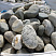 Kamenclub.ru: Речной валун (Ассорти) фр.100-300 мм.  купить в Челябинске галечник серый, темно-серый, светло-серый речная галька крупных размеров 4200 руб/т   фото КАМЕНЬ КЛУБ