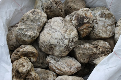 Kamenclub.ru: Кварцевый валунчик фр.100-300 мм.  купить в Челябинске кварц белый, бежевый молочный рыжий крупный природный камень галечник 7850 руб/т   фото КАМЕНЬ КЛУБ