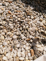 Галька Крымская Жемчужина фр. 10-20 мм.  купить в Челябинске фото Камень Клуб