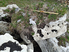 Kamenclub.ru: Выветренный известняк (степной) фр. 500-1500 мм.  купить в Челябинске    10000 руб/т   фото КАМЕНЬ КЛУБ