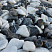 Kamenclub.ru: Мраморная крошка (щебень галтованный микс:: белый-черный) фр.20-40 мм  купить в Челябинске мрамор белый, черный мраморный галтованный щебень 15500 руб/т   фото КАМЕНЬ КЛУБ