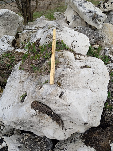 Kamenclub.ru: Выветренный известняк со мхом фр. 100-500 мм.  купить в Челябинске известняк серый белый зеленый валун известняковый крупный 10000 руб/т   фото КАМЕНЬ КЛУБ