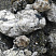 Kamenclub.ru: Черный гранит - кварцит фр. 100-500 мм.  купить в Челябинске мрамор гранит черный с белыми прожилками, серый, белый валун скальный колотый 7000 руб/т   фото КАМЕНЬ КЛУБ