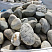 Kamenclub.ru: Речной валун (Ассорти) фр.100-300 мм.  купить в Челябинске галечник серый, темно-серый, светло-серый речная галька крупных размеров 4200 руб/т   фото КАМЕНЬ КЛУБ