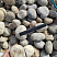 Kamenclub.ru: Галька речная окат (серо-белая) фр. 70-120 мм купить  в Челябинске галька галечник бело-серая, серо-белая, серая, белая речная природная галька  8000 руб/т   фото КАМЕНЬ КЛУБ