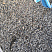 Kamenclub.ru: Галька речная окат (серая) фр.3-5 мм купить  в Челябинске галька речная серая бежевый темно-серый окатанный речной камень округлый 9500 руб/т   фото КАМЕНЬ КЛУБ
