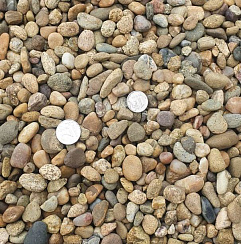 Kamenclub.ru: Галька окат (серо-желтая) фр.10-20 мм. купить  в Челябинске галька серо-желтая, рыжая, серый речная окатанная округлая галька 5000 руб/т   фото КАМЕНЬ КЛУБ