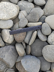 Kamenclub.ru: Галька речная плоская (ассорти) фр. 70-150 мм. купить в Челябинске галька галечник серый белый темно-серый синий светло-серый плоская природная галька  9000 руб/т   фото КАМЕНЬ КЛУБ