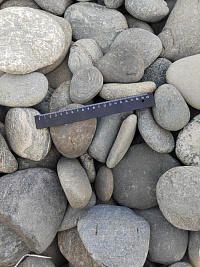 Kamenclub.ru: Галька речная плоская (ассорти) фр. 70-150 мм. купить в Челябинске галька галечник серый белый темно-серый синий светло-серый плоская природная галька  9000 руб/т   фото КАМЕНЬ КЛУБ