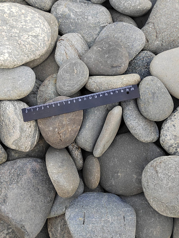 Kamenclub.ru: Галька речная плоская (серо-белая) фр. 70-120 мм. купить  в Челябинске галька галечник речной серый, белый окатанная плоская  природная галька 9000 руб/т   фото КАМЕНЬ КЛУБ