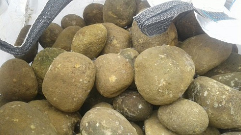 Kamenclub.ru: Песчаник ядра, фр. 100-300 мм  купить в Челябинске песчаник бежевый серый рыжий речная галька 5 000 руб/т   фото КАМЕНЬ КЛУБ