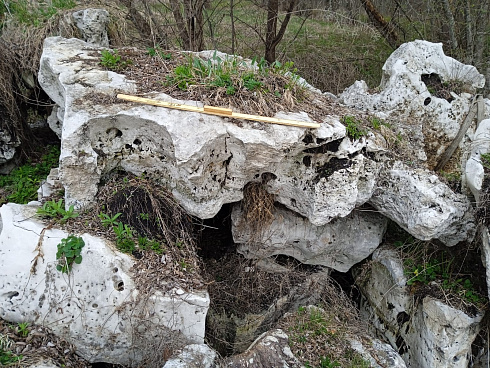 Kamenclub.ru: Выветренный известняк со мхом фр. 100-500 мм.  купить в Челябинске известняк серый белый зеленый валун известняковый крупный 10000 руб/т   фото КАМЕНЬ КЛУБ