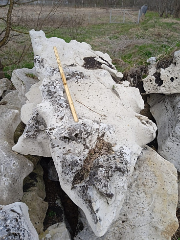 Kamenclub.ru: Выветренный известняк со мхом фр. 100-500 мм.  купить в Челябинске известняк серый белый зеленый валун известняковый крупный 10000 руб/т   фото КАМЕНЬ КЛУБ