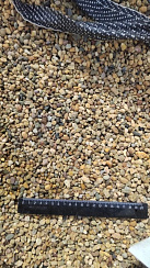 Kamenclub.ru: Галька окат (серо-желтая) фр.5-10 мм. купить  в Челябинске галька речная рыжий, желтый, рыжий, серо-желтый речная окатанная галька декоративная 5000 руб/т   фото КАМЕНЬ КЛУБ