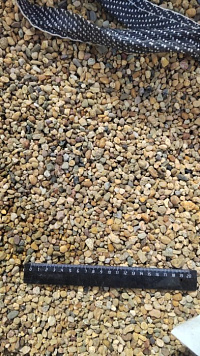 Kamenclub.ru: Галька окат (серо-желтая) фр.5-10 мм. купить  в Челябинске галька речная рыжий, желтый, рыжий, серо-желтый речная окатанная галька декоративная 5000 руб/т   фото КАМЕНЬ КЛУБ