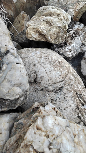 Kamenclub.ru: Кварцевый валунчик фр.100-300 мм.  купить в Челябинске кварц белый, бежевый молочный рыжий крупный природный камень галечник 7850 руб/т   фото КАМЕНЬ КЛУБ