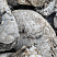 Kamenclub.ru: Кварцевый валунчик фр.100-300 мм.  купить в Челябинске кварц белый, бежевый молочный рыжий крупный природный камень галечник 7850 руб/т   фото КАМЕНЬ КЛУБ