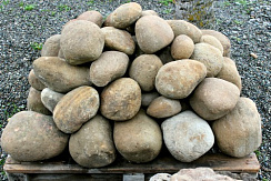 Kamenclub.ru: Песчаник ядра, фр. 100-300 мм  купить в Челябинске песчаник бежевый серый рыжий речная галька 5 000 руб/т   фото КАМЕНЬ КЛУБ
