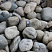 Kamenclub.ru: Речной валун (Ассорти) фр.100-300 мм.  купить в Челябинске галечник серый, темно-серый, светло-серый речная галька крупных размеров 4200 руб/т   фото КАМЕНЬ КЛУБ