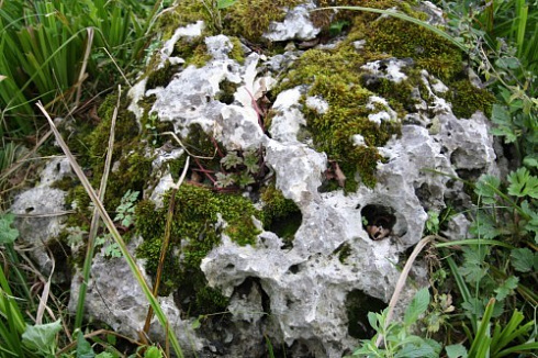 Kamenclub.ru: Выветренный известняк со мхом фр. 100-500 мм.  купить в Челябинске известняк серый белый зеленый валун известняковый крупный 10000 руб/т   фото КАМЕНЬ КЛУБ