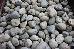 Kamenclub.ru: Речной валун (Ассорти) фр.100-300 мм.  купить в Челябинске галечник серый, темно-серый, светло-серый речная галька крупных размеров 4200 руб/т   фото КАМЕНЬ КЛУБ