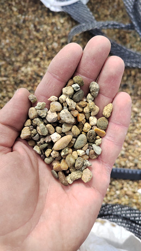 Kamenclub.ru: Галька окат (серо-желтая) фр.5-10 мм. купить  в Челябинске галька речная рыжий, желтый, рыжий, серо-желтый речная окатанная галька декоративная 5000 руб/т   фото КАМЕНЬ КЛУБ