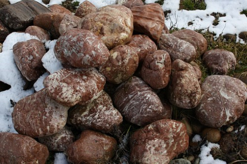 Kamenclub.ru: Розовый валунчик фр.100-300 мм.  купить в Челябинске крупный природный камень розовый, серый молочный красный речной галечник природный 7850 руб/т   фото КАМЕНЬ КЛУБ